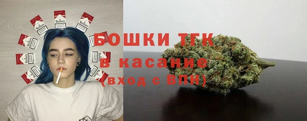 mdma Богородицк