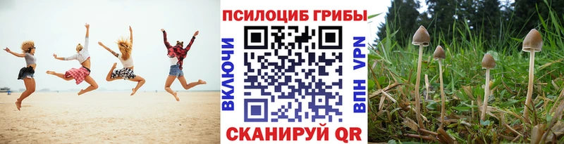 что такое наркотик  Северск  Псилоцибиновые грибы прущие грибы 